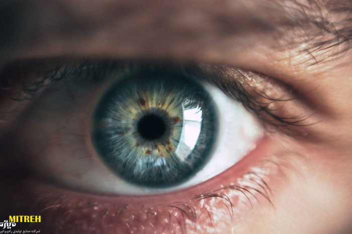 سیستم بینایی چشم انسان