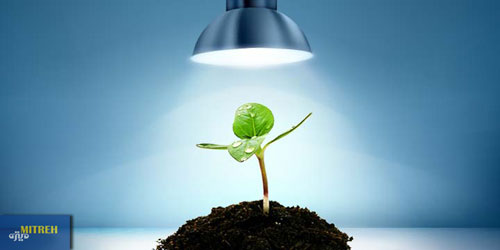 خرید لامپ رشد گیاه